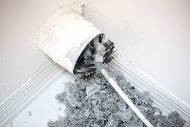Best Home Air Vent Cleaning  in Baltimore Highlands, MD